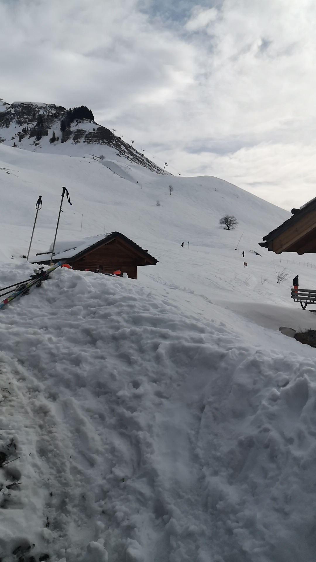 Photo n° 2 de l'avis de ZoptiK. fait le 16/02/2020 à 11:09