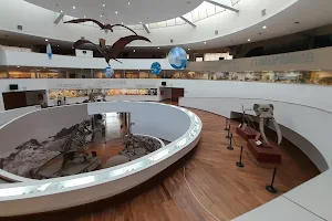 Museo Provincial de Ciencias Naturales "Dr. Arturo Umberto Illía" image