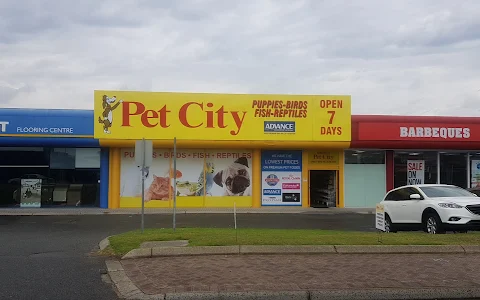 Pet City Morley image