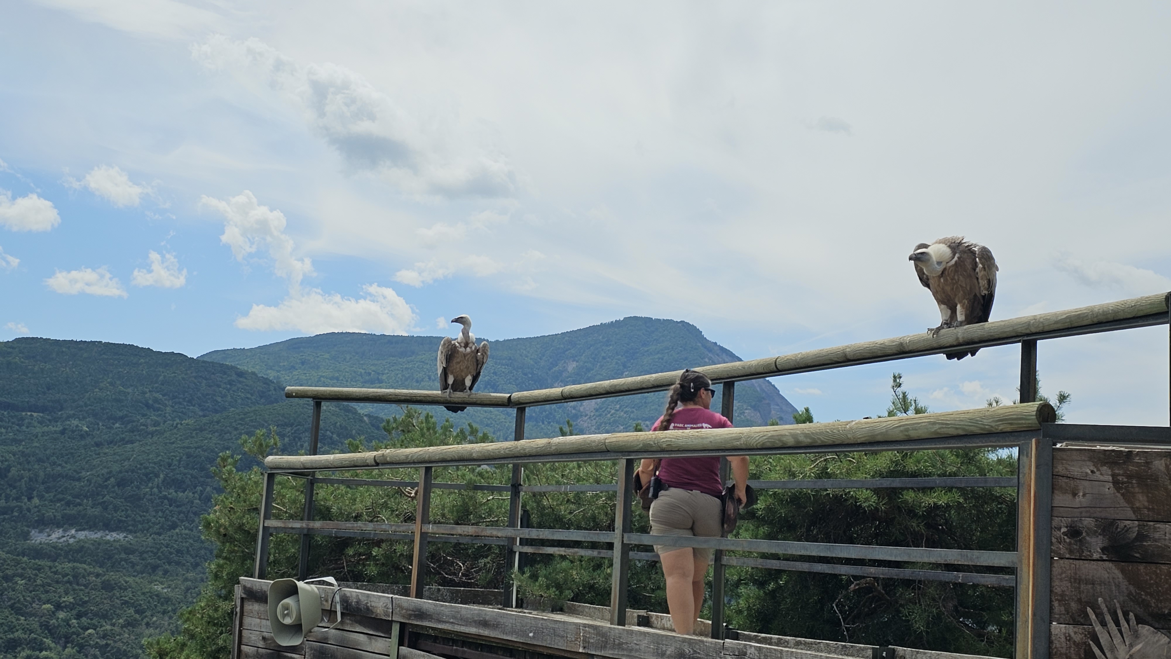 Photo n° 4 de l'avis de Emoli. fait le 31/07/2023 à 14:47