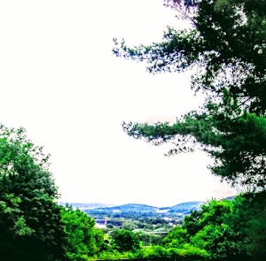 Roundtop Picnic Area - photo 37