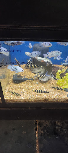 Pet Store «Olathe Pet Shop», reviews and photos, 16651 151st St, Olathe, KS 66062, USA