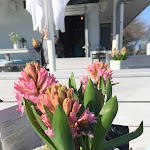 Photo n°3 de l'avis de Niyi.o fait le 26/10/2018 à 12:51 sur le  BEACH HOUSE Kühlungsborn Strand à Kühlungsborn