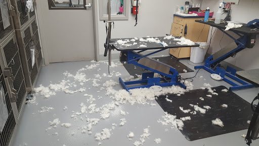 Animal Feed Store «Wilco Farm Store», reviews and photos, 3285 Commercial St SE, Salem, OR 97302, USA