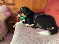 Misfits & Underdogs Sanctuary, LLC - Photo 4 - Car repair in , Virginia Beach