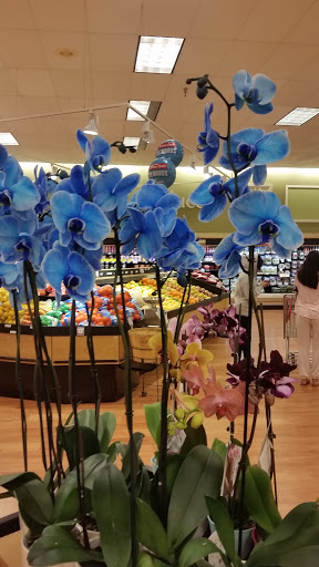 Grocery Store «Winn-Dixie», reviews and photos, 36348 FL-54, Zephyrhills, FL 33541, USA