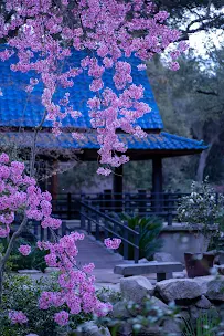 Ventura Acupuncture Clinic - Car repair in Ventura, CA, Thousand Oaks - Rated 0.0/5