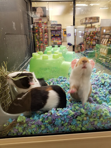 Pet Supply Store «PetSmart», reviews and photos, 300 Water Loop Ln, Collegeville, PA 19426, USA