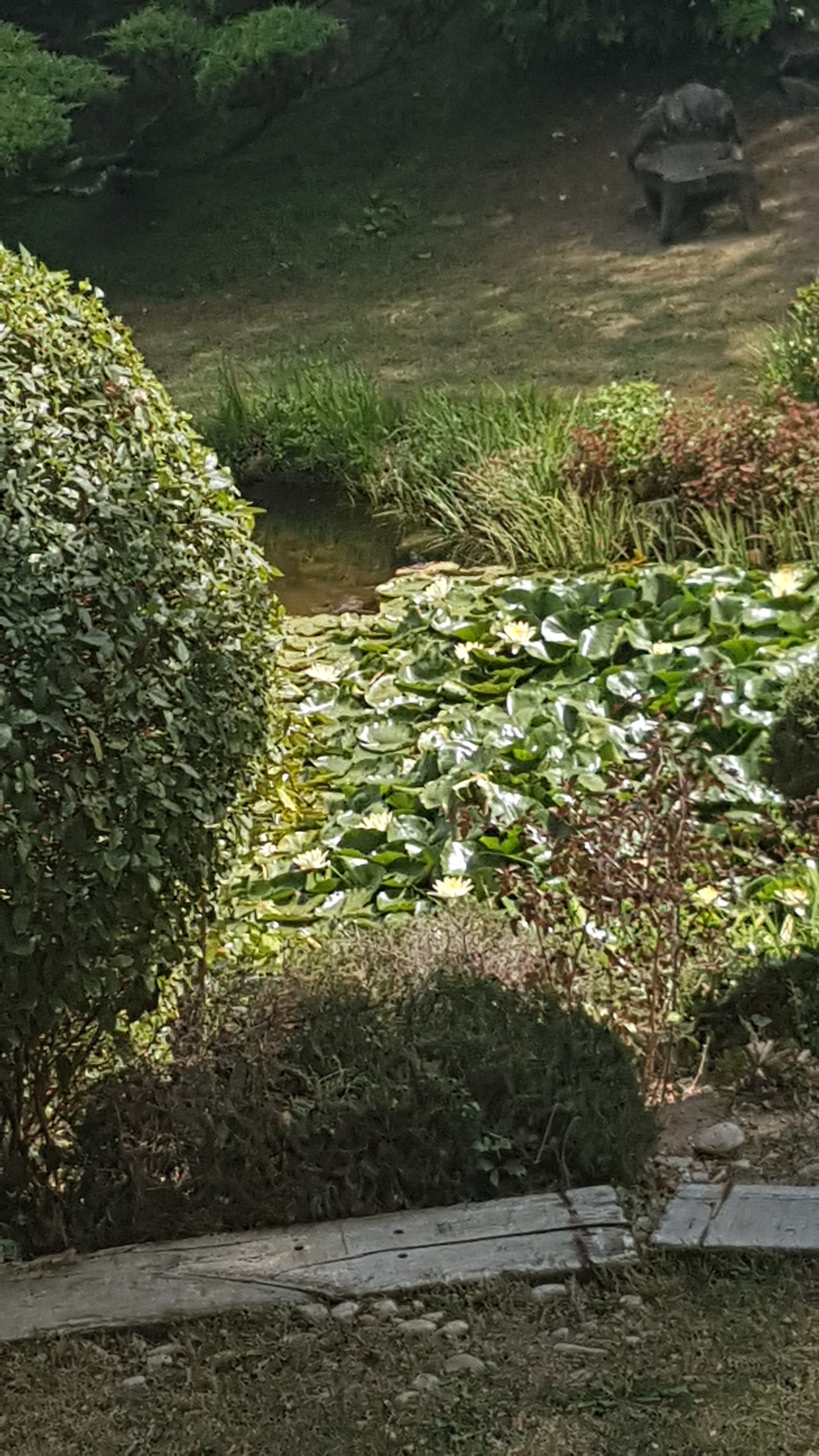 Photo n° 1 de l'avis de anna.a fait le 26/07/2019 à 20:05