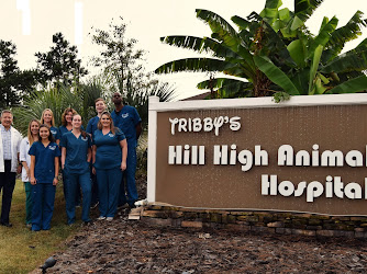 Hill High Animal Hospital