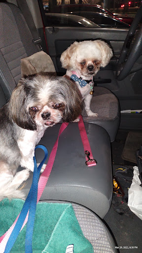 Pet Supply Store «PetSmart», reviews and photos, 4120 E 4th St, Ontario, CA 91764, USA