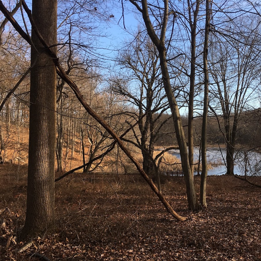 Brinton Brook Sanctuary