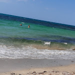 Photo n°3 de l'avis de Carmine.e fait le 21/08/2021 à 23:37 sur le  PIZZERIA HAKUNA MATATA à Cerfignano