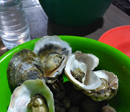 Kapten Kerang photo