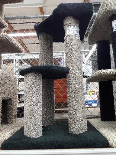 Pet Supply Store «Pet Club Fairfield», reviews and photos, 5125 Business Center Dr, Fairfield, CA 94534, USA