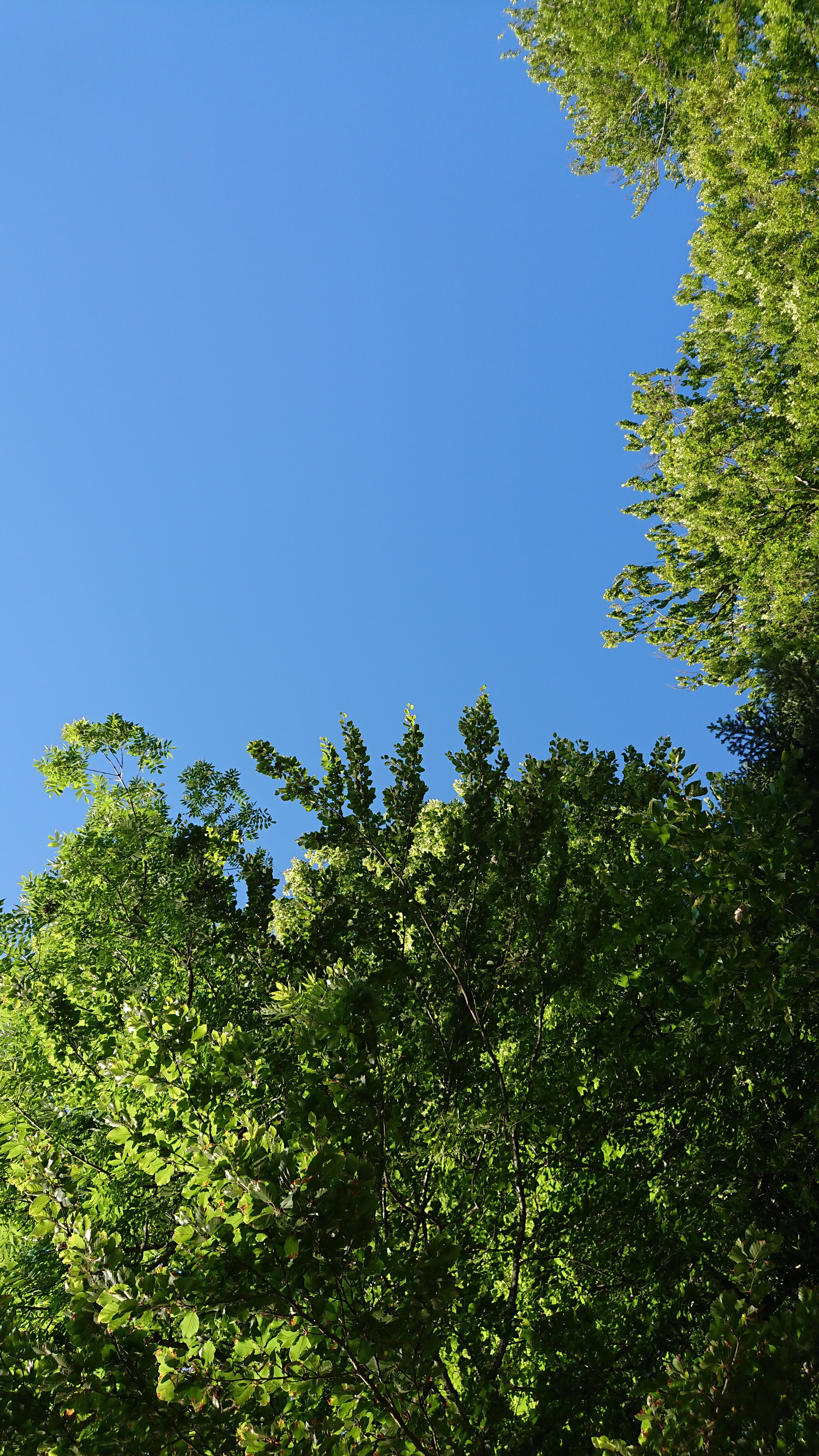 Photo n° 1 de l'avis de Laurine.a fait le 25/03/2019 à 09:59
