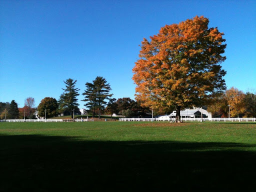 Horse Riding School «Briggs Stable Tack Shop & Trailer», reviews and photos, 623 Hanover St, Hanover, MA 02339, USA