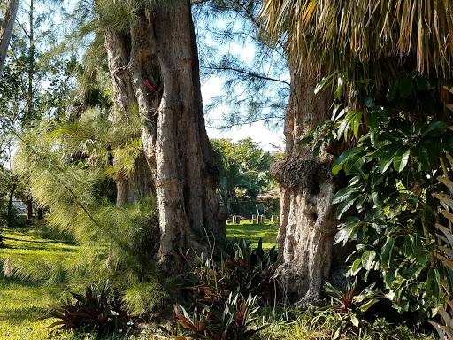 Park «Griffing Park», reviews and photos, 12220 Griffing Blvd, North Miami, FL 33161, USA