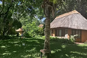 Makuzi Beach Lodge image