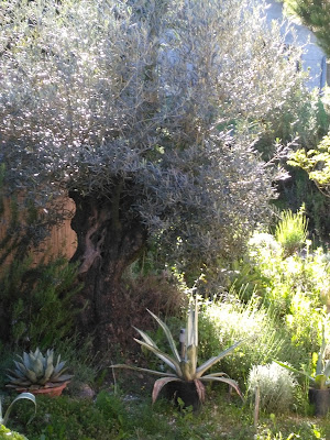 Histoires de jardins à Rumilly
