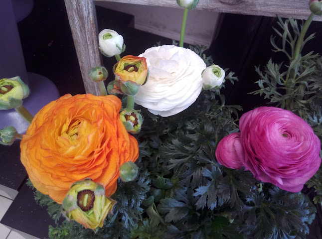 Greenhouse Flowers Preston - Florist