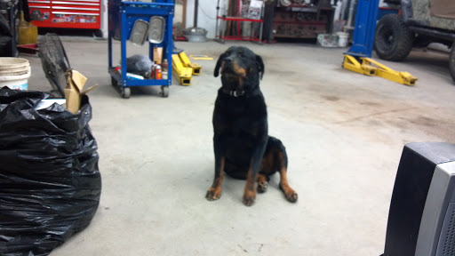 Auto Repair Shop «Katc Automotive llc», reviews and photos, 314 Old Millwood Rd, Rockwall, TX 75087, USA