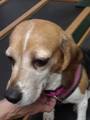 Pet Supply Store «Atlas Pet Supply», reviews and photos, 12761 Central Ave NE, Blaine, MN 55434, USA