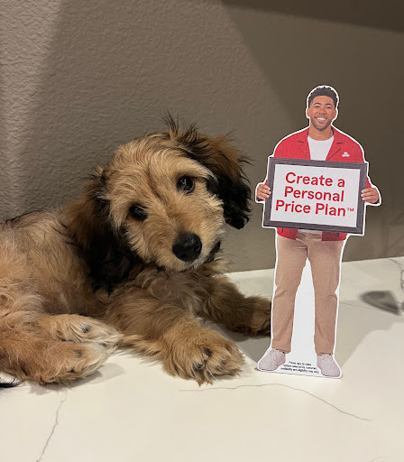 Insurance Agency «Jeff Burtis - State Farm Insurance Agent», reviews and photos