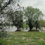 Photo n°8 de l'avis de ROBERTA.O fait le 12/05/2024 à 13:22 sur le  Ristorante Le Terrazze sul Po à Scorzarolo