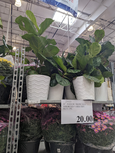 Warehouse store «Costco Wholesale», reviews and photos, 24008 Woodinville Snohomish Rd, Woodinville, WA 98072, USA