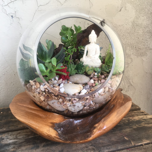 Wholesale Florist «Urban Jungle», reviews and photos, 2603 Sherman Ave NW, Washington, DC 20001, USA