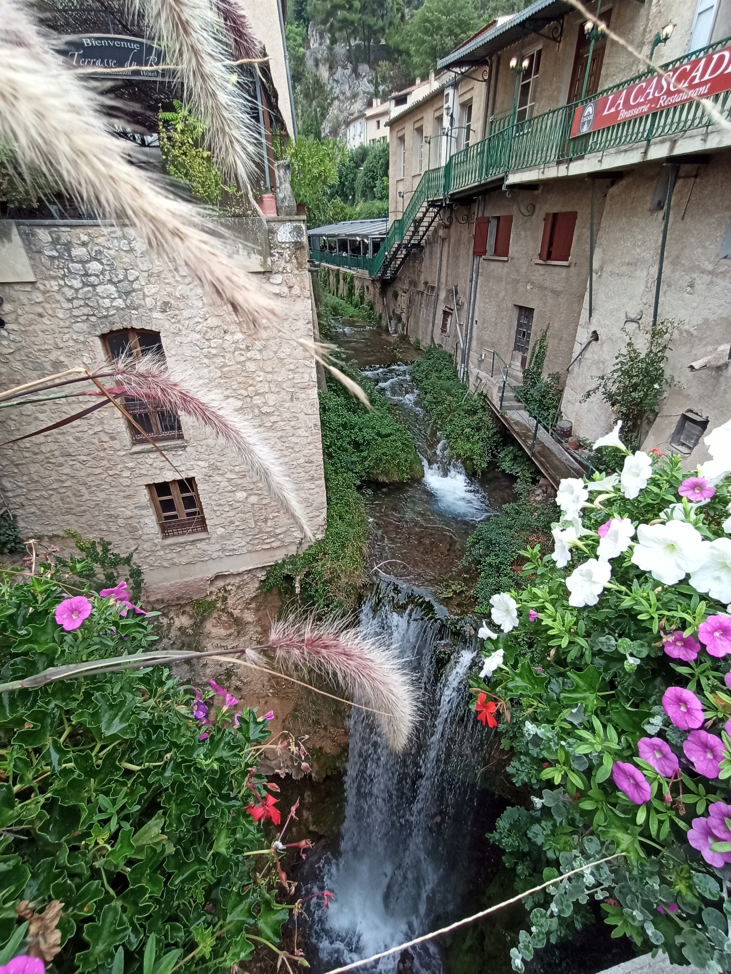 Photo n° 5 de l'avis de Bernardo. fait le 20/09/2020 à 18:31