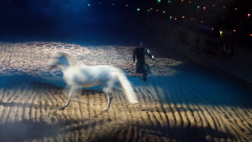 Dinner Theater «Medieval Times Dinner & Tournament», reviews and photos, 5900 Sugarloaf Pkwy #517, Lawrenceville, GA 30043, USA