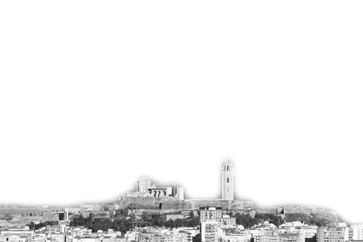 FINQUES PRATS en Lleida