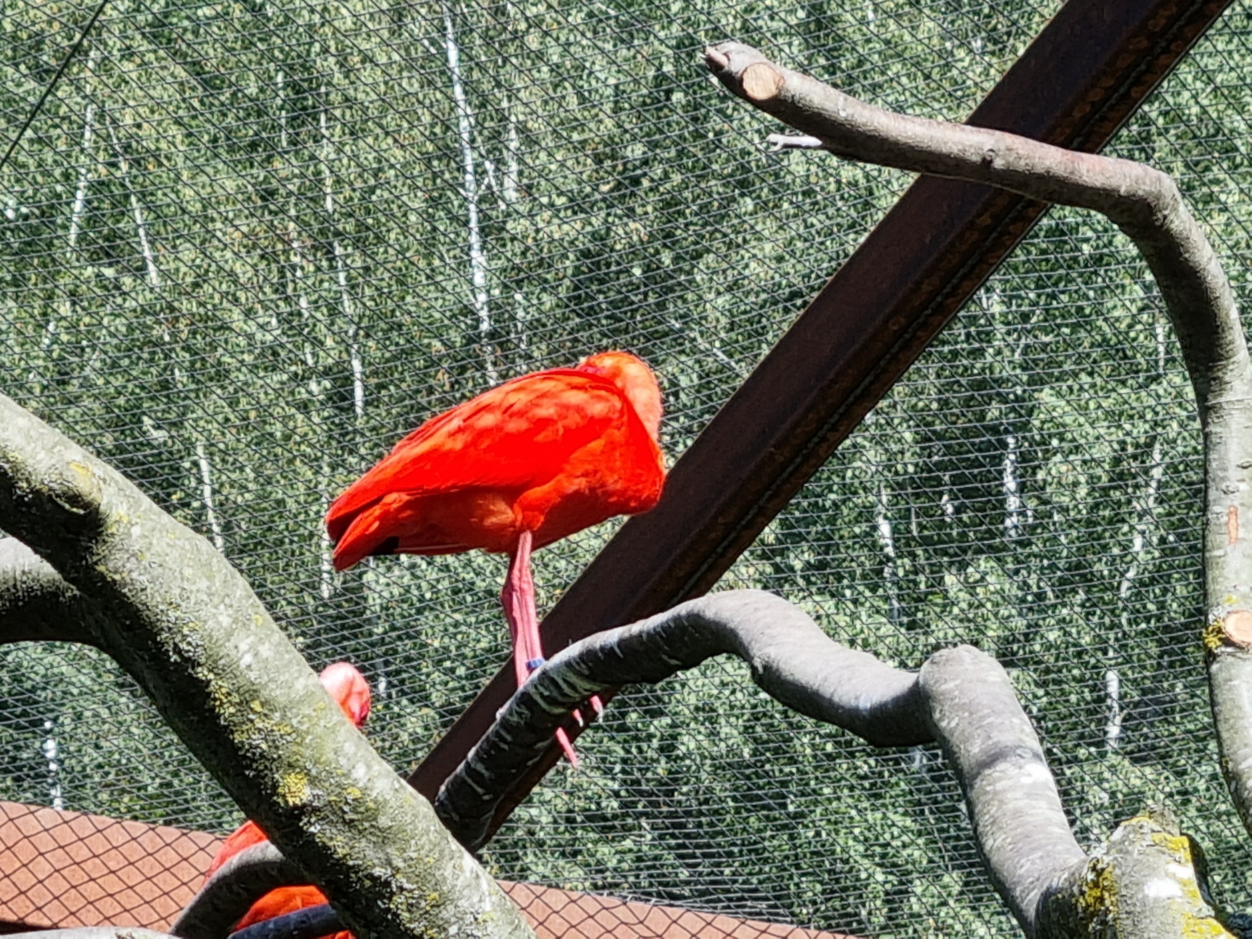 Photo n° 8 de l'avis de William.o fait le 06/08/2022 à 16:28