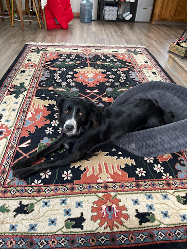 Ski Shop «Eagle Rock Resort Ski Shop», reviews and photos, Country Club Rd, Hazleton, PA 18202, USA