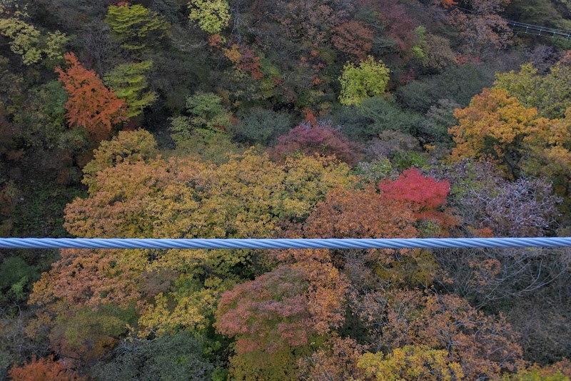 つつじ吊り橋駐車場 栃木県那須町湯本 駐車場 グルコミ