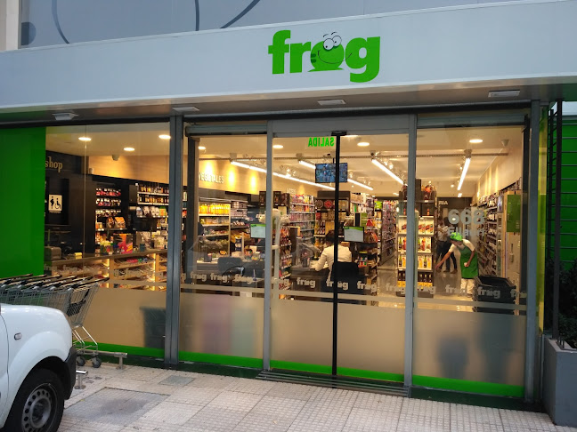 Frog Maxishop 5 - Montevideo
