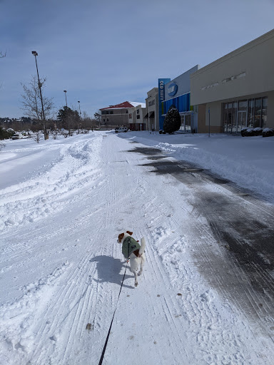 Pet Supply Store «Petco Animal Supplies», reviews and photos, 12801 Chenal Pkwy, Little Rock, AR 72211, USA