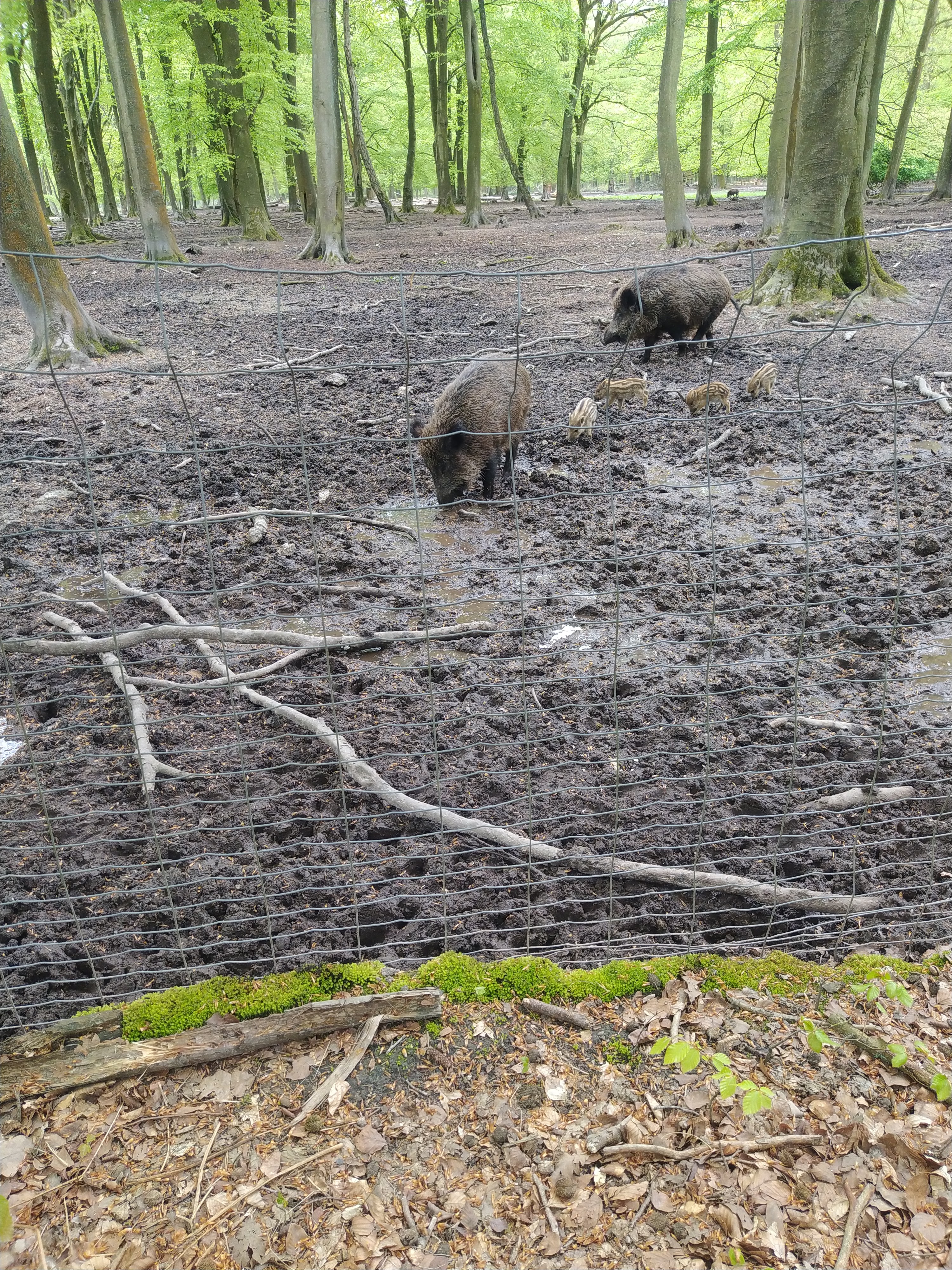 Photo n° 2 de l'avis de Marjorie.o fait le 29/05/2023 à 09:12