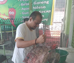 Pecel lele Mbak Tatik photo