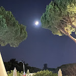 Photo n°1 de l'avis de Tiago.T fait le 05/08/2022 à 08:11 sur le  Pinhal da Marina à Quarteira