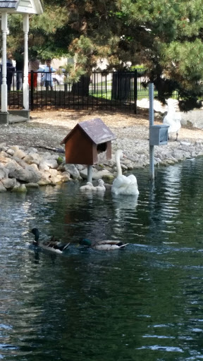 Coffee Shop «Starbucks», reviews and photos, 102 E Irving Park Rd, Itasca, IL 60143, USA