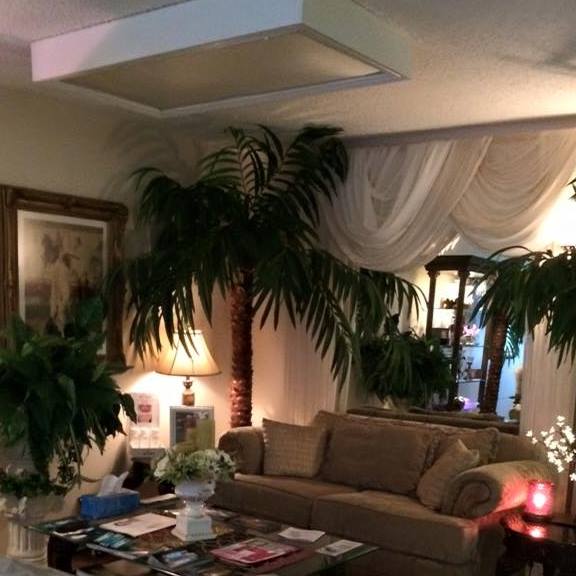 The Skin Care Clinic 78526