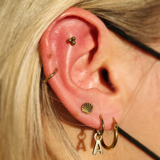 Body Piercing Shop «Skin Gallery Tattooing & Body Piercing», reviews and photos, 1402 Ogden Ave, Downers Grove, IL 60515, USA