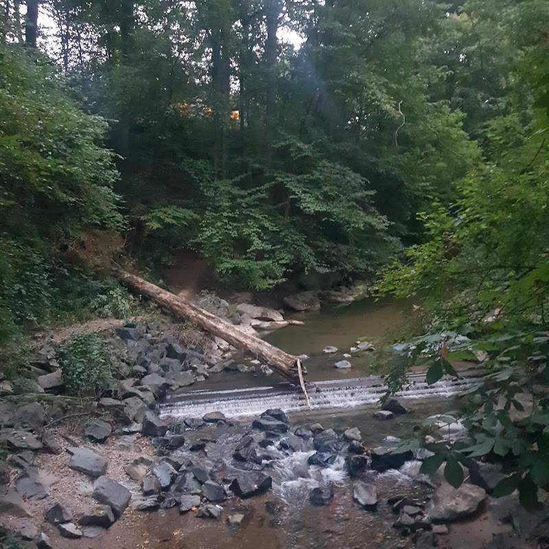 Sligo Creek Stream Valley Unit #1