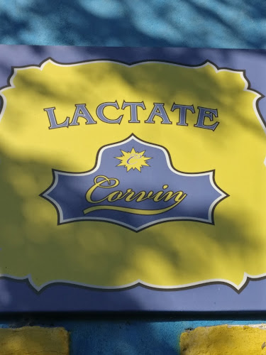 Opinii despre Corvin Produse Lactate în Constanța - Optica