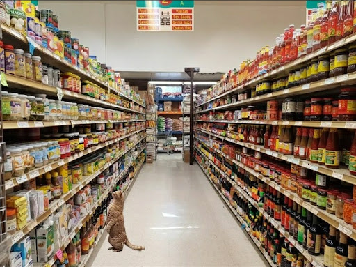 Discount Store «Walmart», reviews and photos, 3133 Main St, Mohegan Lake, NY 10547, USA