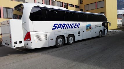 Springer Reisen