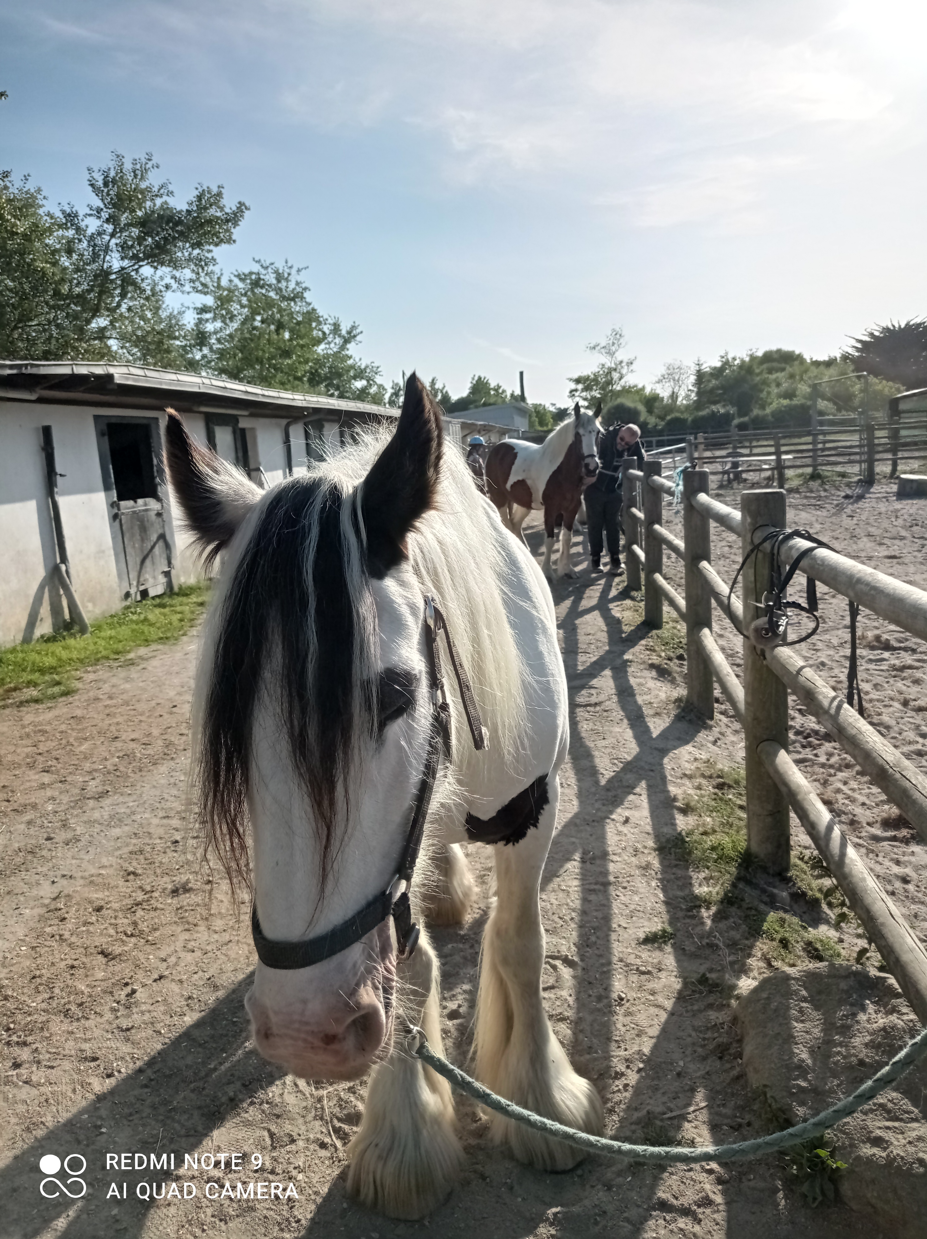 Photo n° 1 de l'avis de Muriel.a fait le 15/07/2022 à 20:41